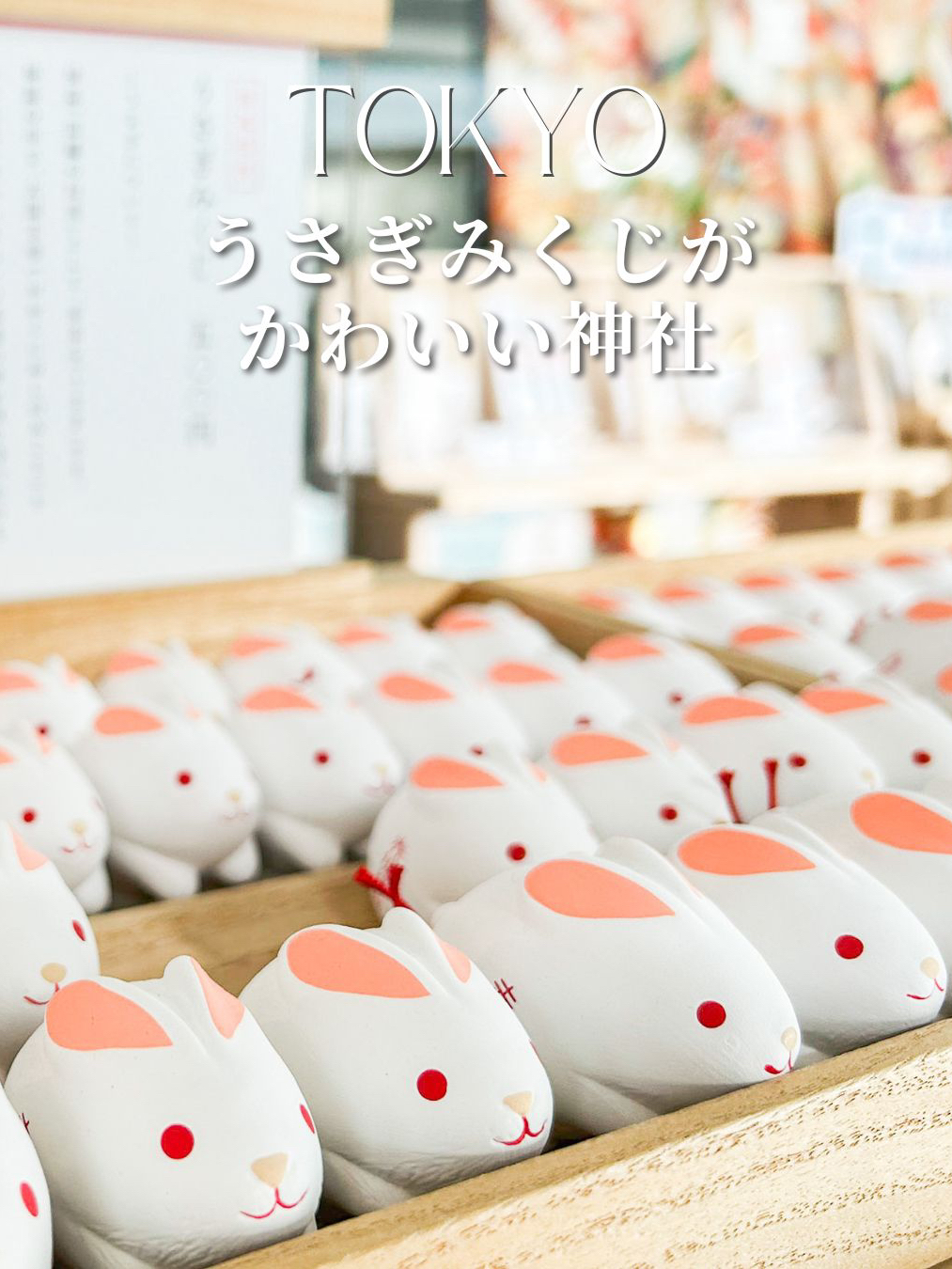 おみくじのかわいさナンバーワン！？】ガラス張りのおしゃれな神社