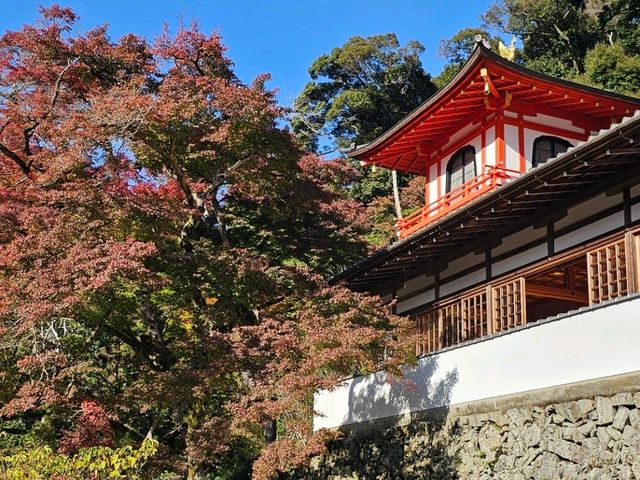 紅楓季漫遊日本箕面山〔瀧安寺〕，隱藏在山林間的絕美秘境