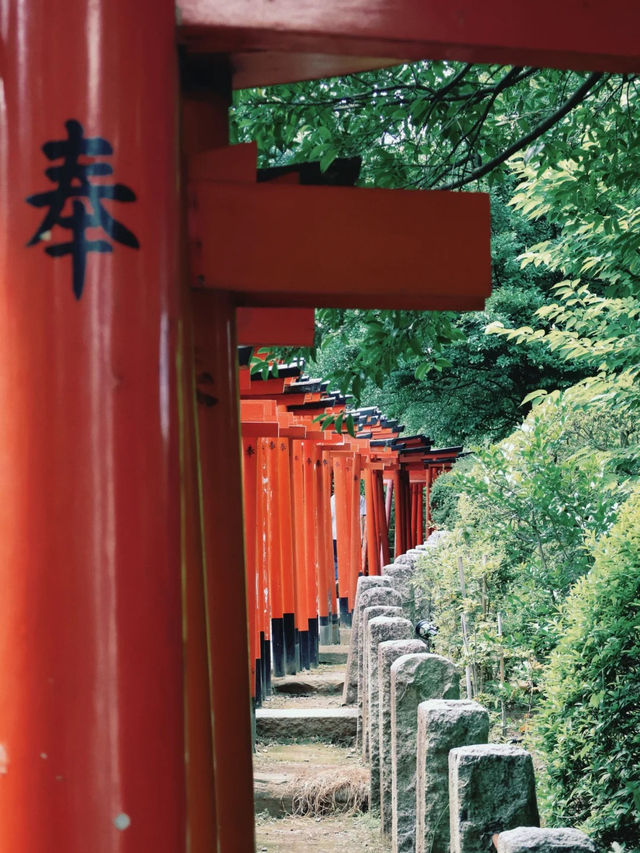 景點推薦：根津神社——東京近郊的千本鳥居與百年古韻