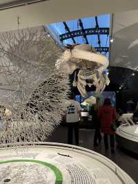 Museum of Natural Sciences Brussels: A Journey Through Time and Evolution