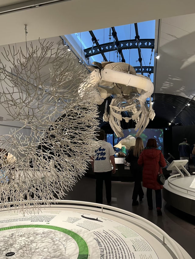 Museum of Natural Sciences Brussels: A Journey Through Time and Evolution