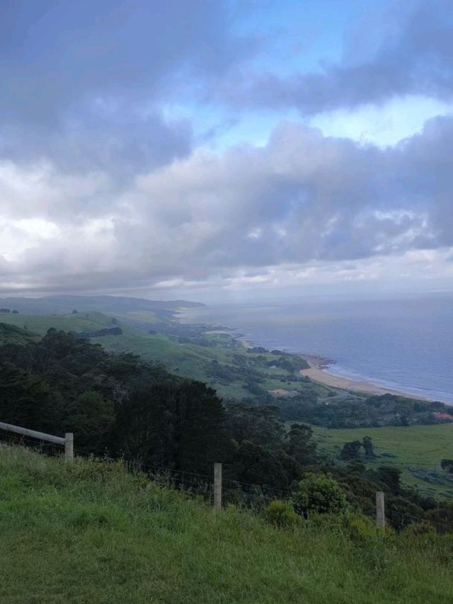 Hidden wonders beyond Apollo Bay