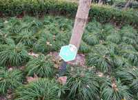 復興公園/思南書局