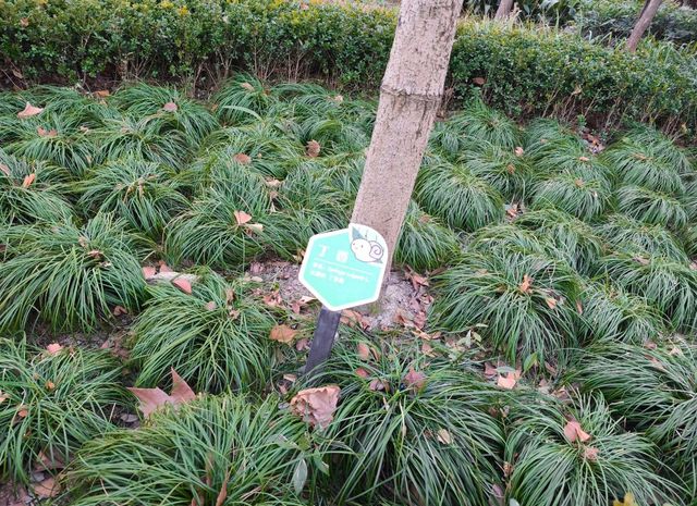 復興公園/思南書局
