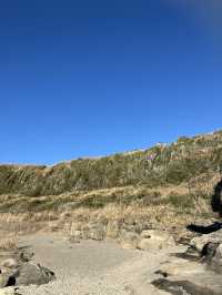 魅力満点　城ヶ島
