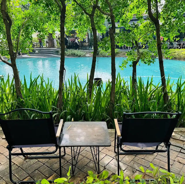 คาเฟ่สายธรรมชาติที่เชียงใหม่ 🌳