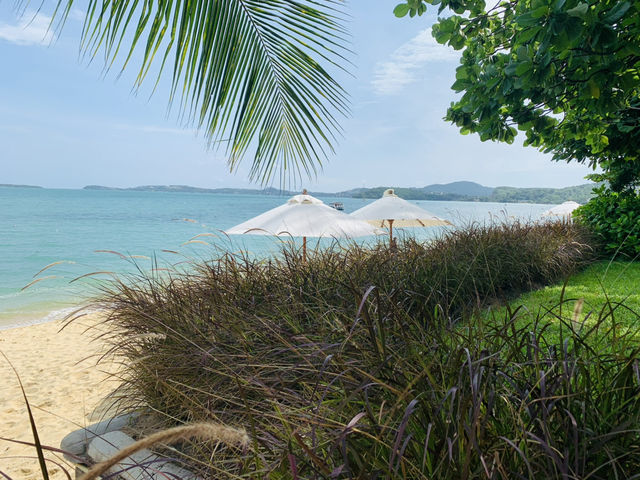 Peace Resort Samui พูลวิลล่าติดทะเล นอนชิลล์