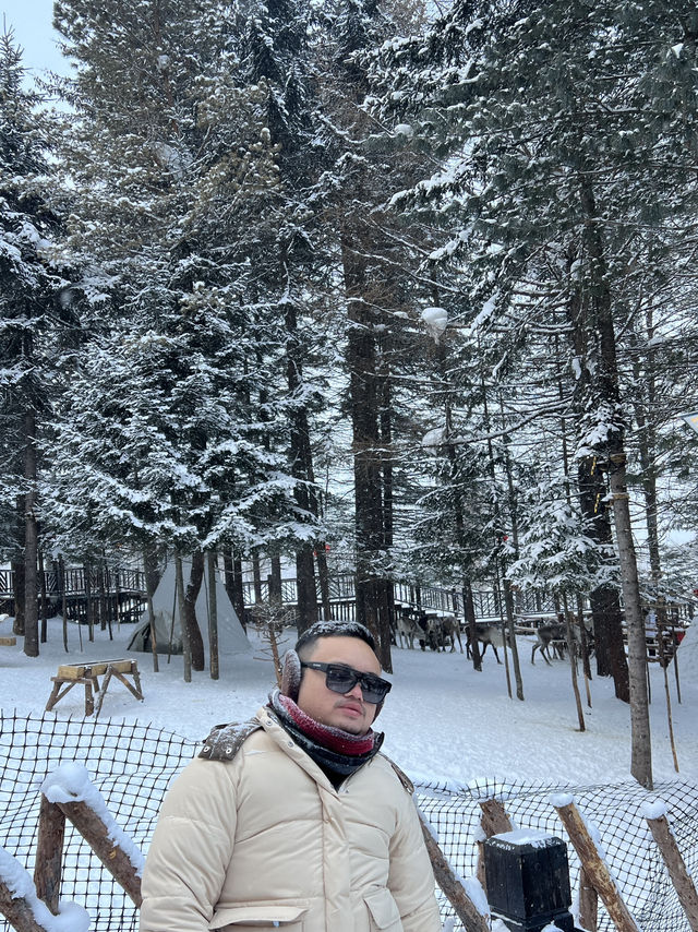  Cost SAVING‼️ 7D6N Winter ❄️ Itinerary to HARBIN 🇨🇳