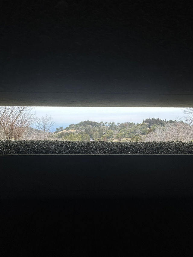 【大阪】六甲枝垂🌿融合自然與藝術的觀景平台😍