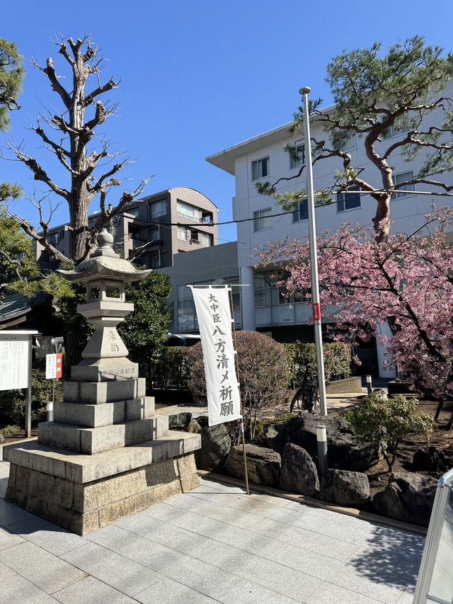 東京賞櫻不可錯過嘅櫻神宮🌸