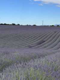Abbaye de Sénanque: A Timeless Sanctuary Amid Lavender Fields