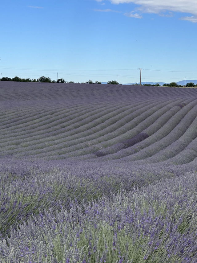 Abbaye de Sénanque: A Timeless Sanctuary Amid Lavender Fields