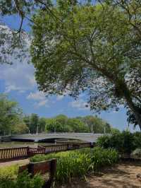 Pekan Cina, Alor Setar – A Relaxing Riverside Spot in Kedah