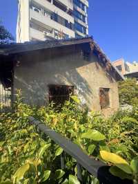 台中｜一甲子自來水老宿舍變身文創聚落 綠園道旁綠光計劃