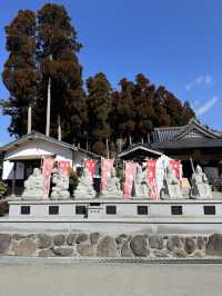 【熊本旅行】金運祈願🙏白蛇様参拝ができる神社⛩