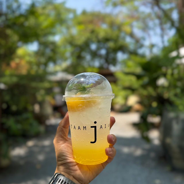 คาเฟ่กลางสวนสุดชิล บรรยากาศสุดร่มรื่นดีต่อใจ กทม 🍵