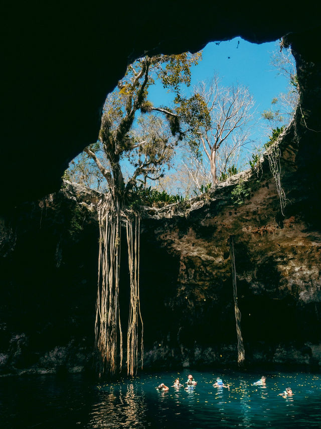 幻想的すぎるセノーテ🩵 Cenote Santa Bárbara