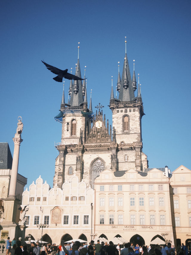 🇨🇿Why Visit Prague?