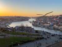 If there’s only one place you must go in Porto, this is it
