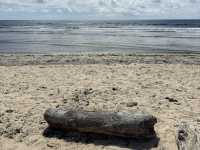 HIDDEN GEM: CALICOAN ISLAND