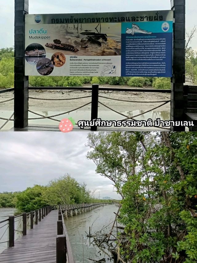 พิกัดเที่ยวบางแสน แค่ปากซอย
