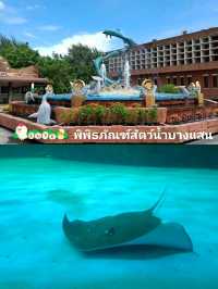 พิกัดเที่ยวบางแสน แค่ปากซอย
