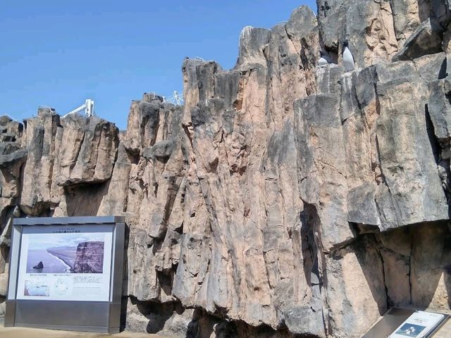Nagoya Port Aquarium (名古屋港水族館)