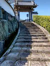 綺麗に整備された庭園が美しい