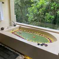 a lovely property