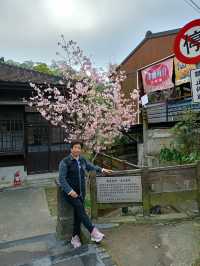 溪頭森林遊樂園