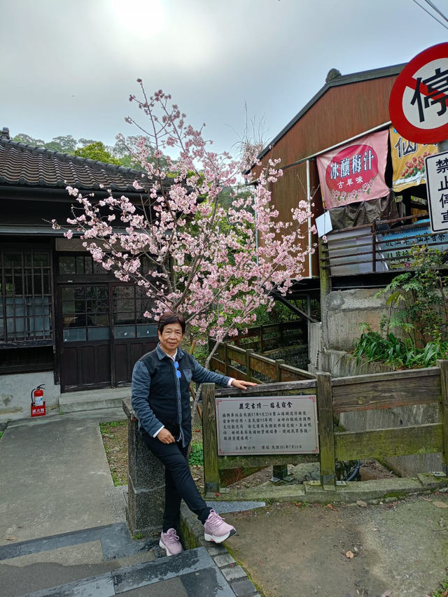 溪頭森林遊樂園