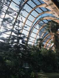 A Green Escape in the Heart of Sheffield: Winter Garden