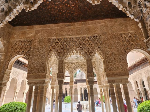 [🇪🇸グラナダ] アルハンブラ宮殿の花、ナスル宮殿の美しさ