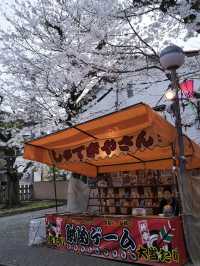 【東京】行かなきゃ損‼️都会の喧騒を忘れて桜を愛でる✨※屋台もあるよ