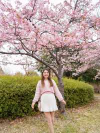 人不多，交通方便的大阪賞櫻公園🌸