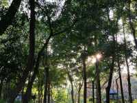 享受自然 . 大埔海濱公園