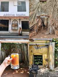 【コチ/インド】テラスがお洒落なカフェ☕Nosh Haus  Arrow Mark