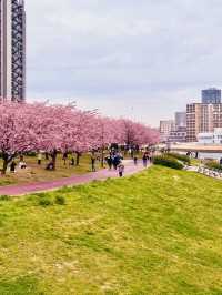 Tokyo Spring vibes unlocked 🌸