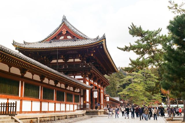 Once the Largest Wooden Structure in the World — Todaiji Temple in Nara