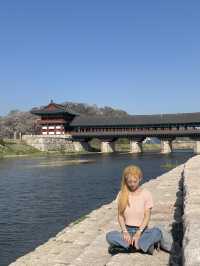 경주 벚꽃 명소, 황리단길 가볼 만한 곳