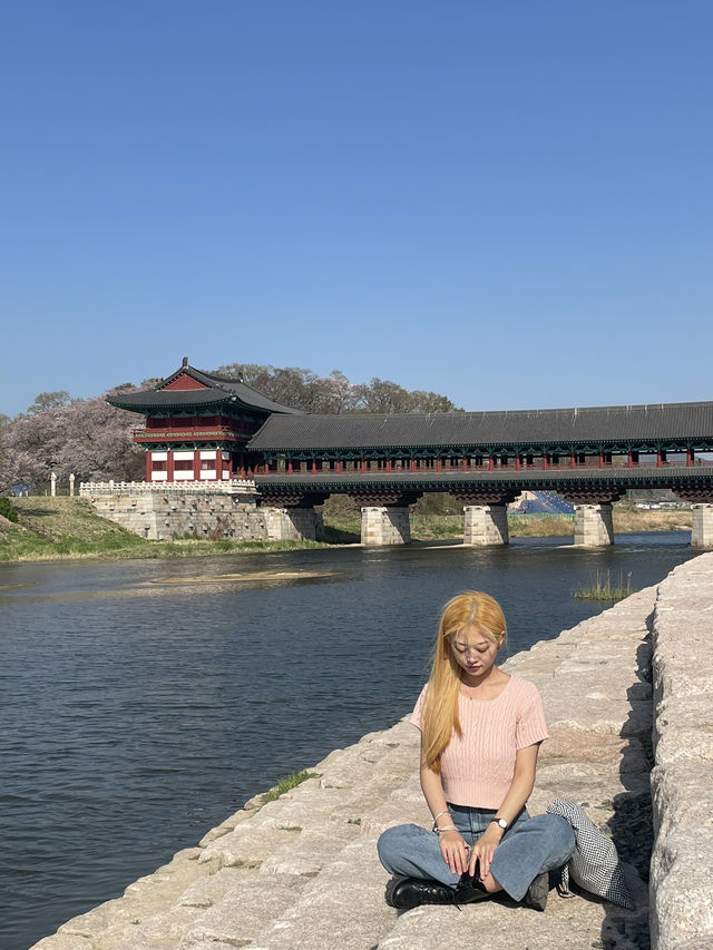 경주 벚꽃 명소, 황리단길 가볼 만한 곳