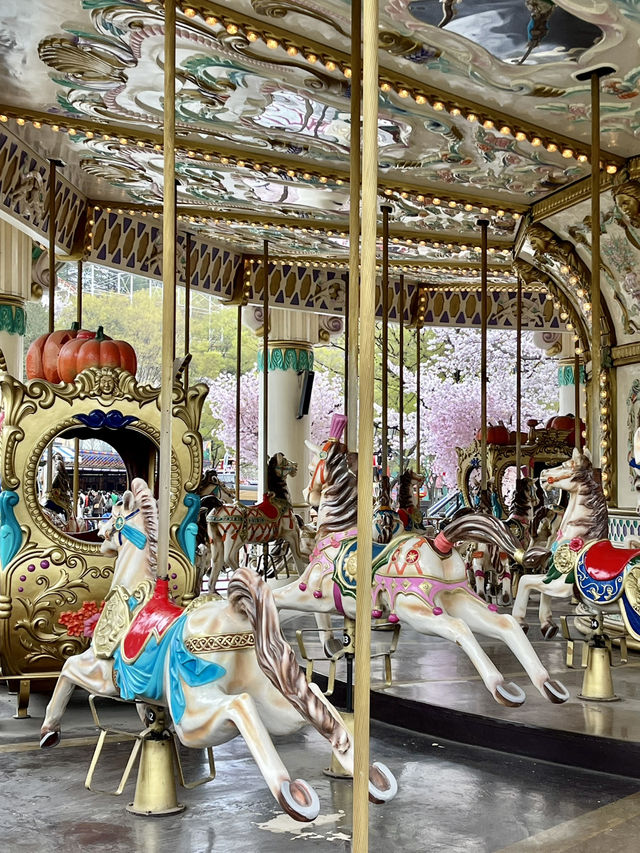 遊園地でお花見🌸⁉️ 大邱 Eワールドの魅力✨💗 遊園地でお花見🌸⁉️ 大邱 Eワールドの魅力✨💗