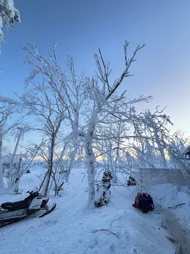Ultimate Winter Playground❄️🏂 