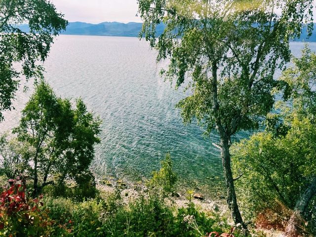 俄羅斯著名景點貝加爾湖旅行攻略，適合打卡拍照📸