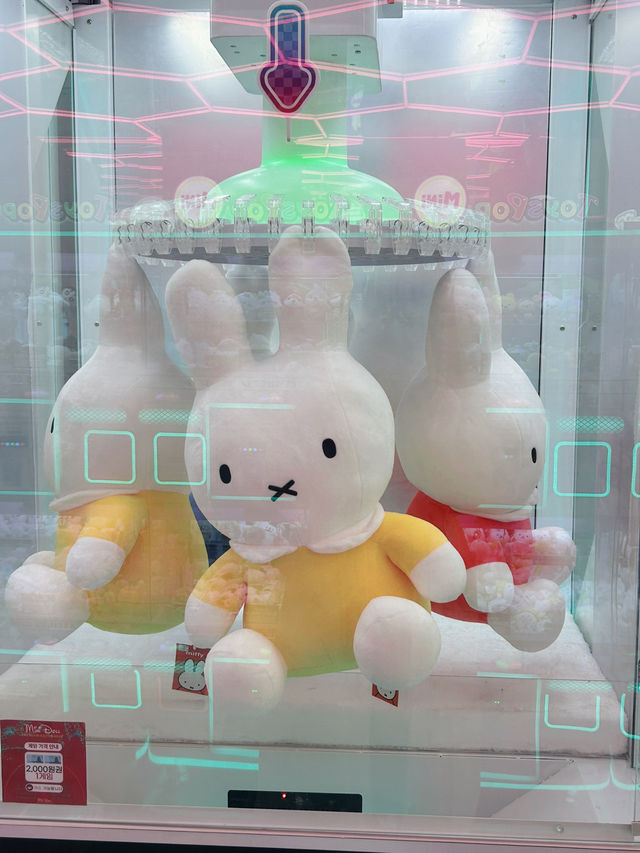 청주 성안길에서 만나는 피규어 천국, 미니돌 프리미엄 가챠샵🤍🧡🌸