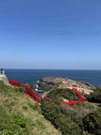 Torii gates by the sea!