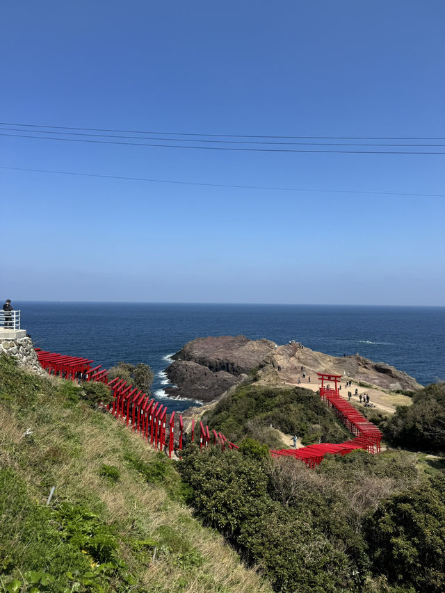 Torii gates by the sea!