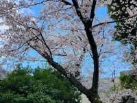 [🇯🇵東京] 八芳園で感じる日本の美と歴史