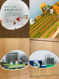 【長野県/富士見　カゴメ野菜生活ファーム工場を見学
