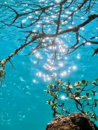 A Slice of Heaven: Discovering the Magic of Blue Moon Valley